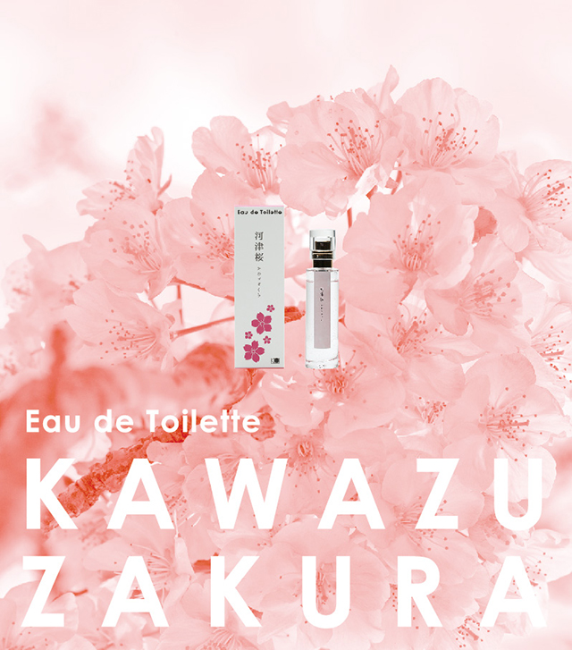 sakura1